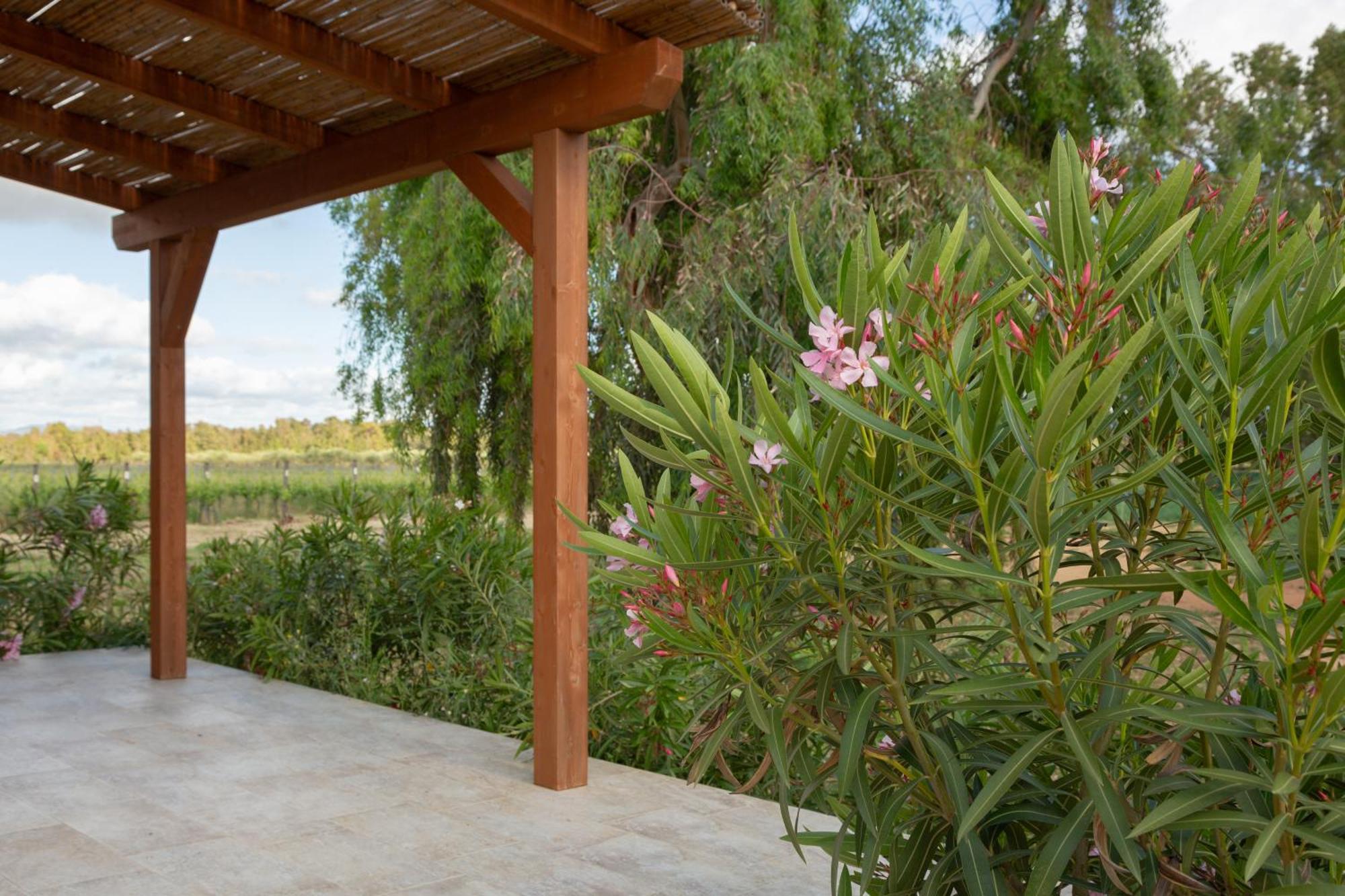 Maris Suite - Appartamento Con Vasca Idromassaggio Alghero Exterior photo